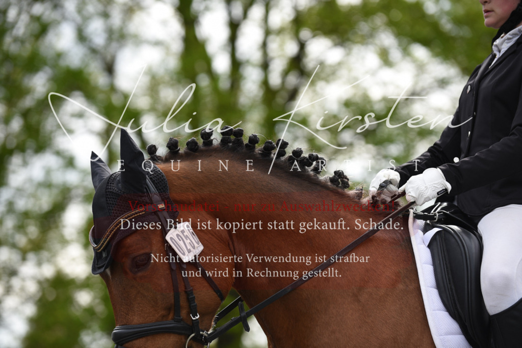 20230513_JK-Röhrsdorf-16-216 | Pferde- und Turnierfotografie in Westsachsen. Pferdeportraits, Auftragszeichnungen und intuitive Kunst.