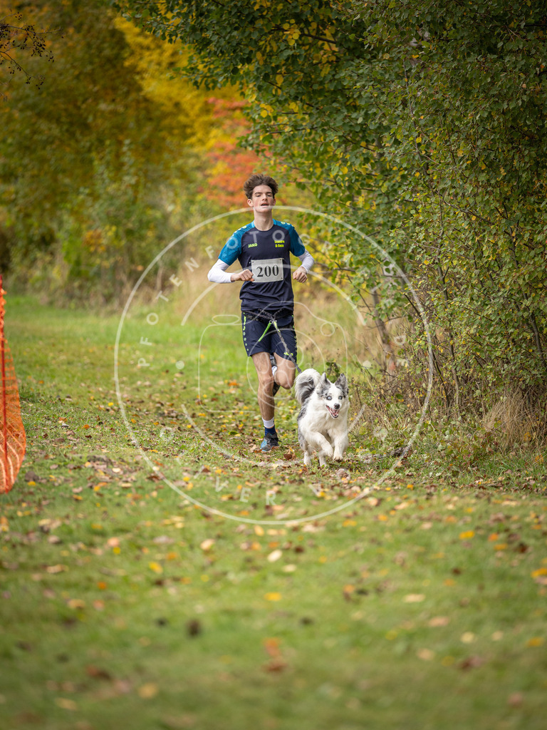 Pfotenfotografie_DV3A3785 | Hundefotografie, Tierfotograf, Pfotenfotografie, Fotoshooting Hund, Hunde Portrait, Hundesport, Hundeportraits, Heideshooting, Hunde, Sportfotograf, Hundefotograf, Turnierhundsport, THS,  - Realisiert mit Pictrs.com