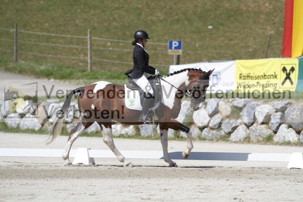 _MG_0401 | equestrian-live-com