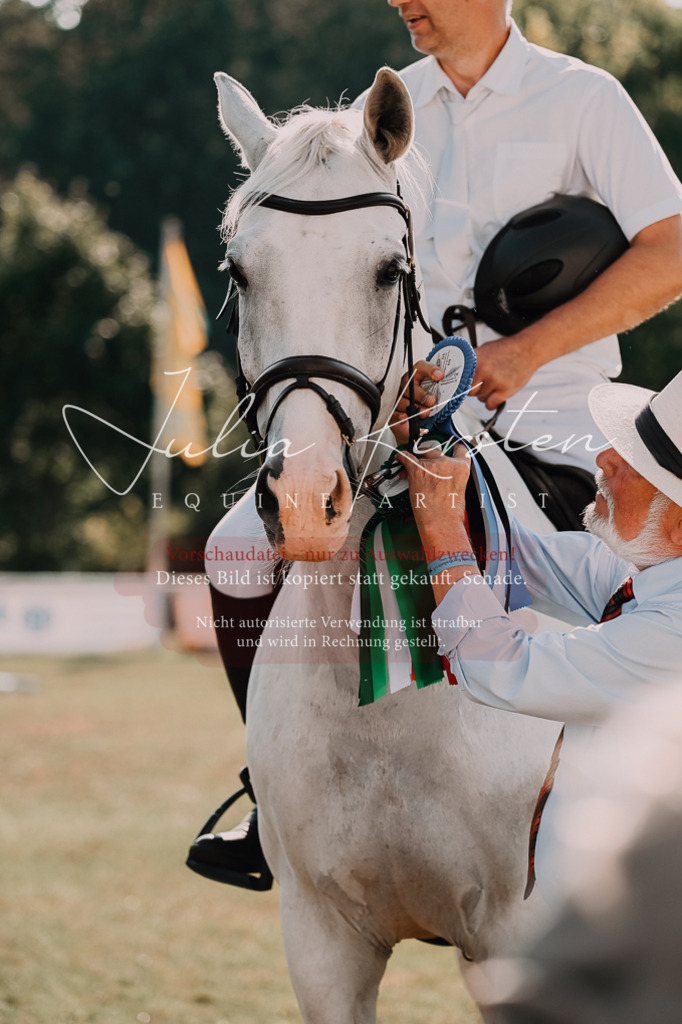DSC_4917 | Pferde- und Turnierfotografie in Westsachsen. Pferdeportraits, Auftragszeichnungen und intuitive Kunst.