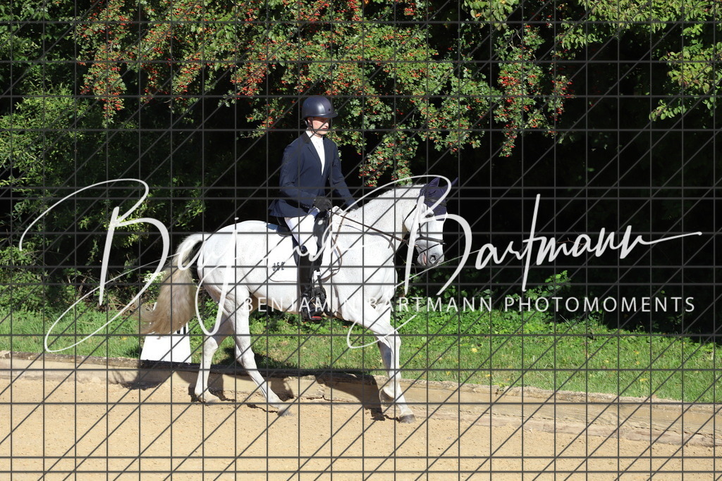 IMG_4983 | Benjamin Bartmann Photomoments