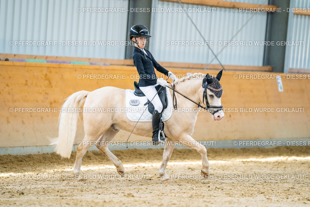 DSC07391 | Pferdegrafie