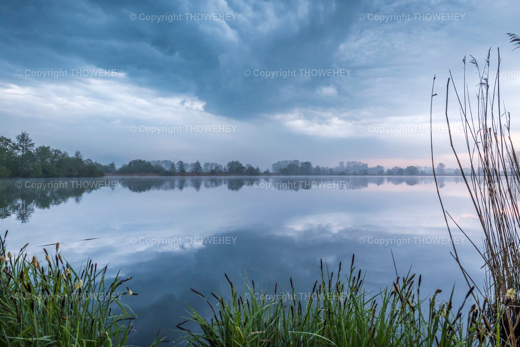 _1130394 | thowehey - Realisiert mit Pictrs.com