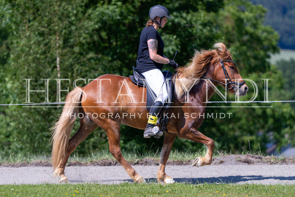 KAI05875 | Ihr sucht einen Fotografen für eure nächste OSI? Ich begleite auch euer Turnier für Islandpferde fotografisch.  - Realisiert mit Pictrs.com
