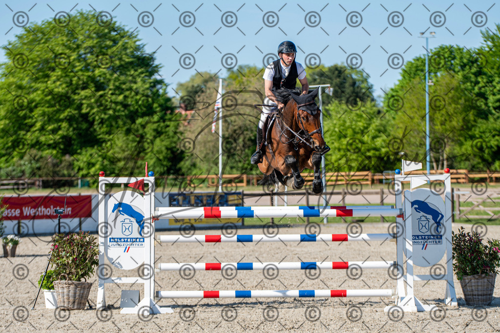 KPT_1886 | andre_photographic