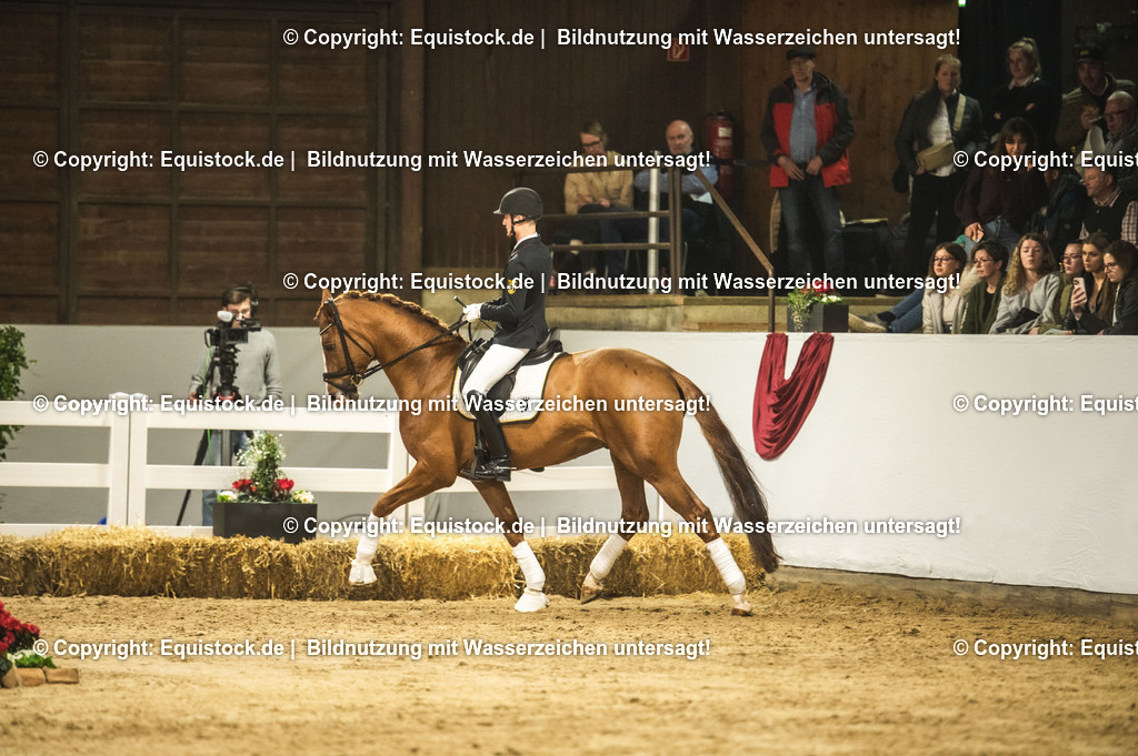 20240302_Hengstvorstellung_Marbach_TOMsPiC_0570-2 | equistock