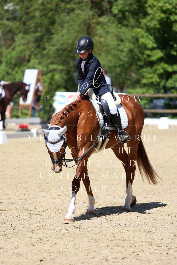 IMGS3340 | pl-fotografie