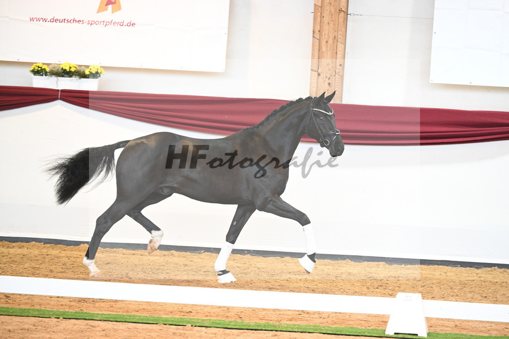 Kat-Nr. 51 v. Toto jr._Winklmaier_66220913 | hf-fotografie - Realisiert mit Pictrs.com