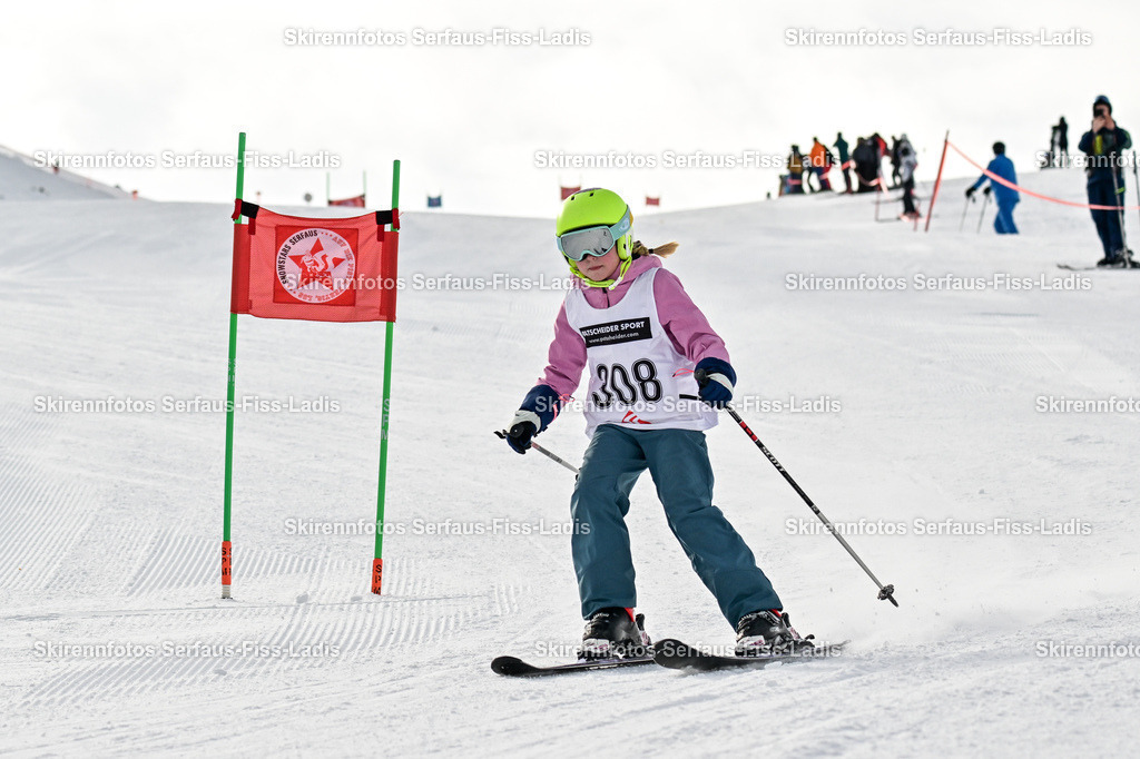 SRS_06.02.2026_0229 | SRS_06.02.2026_0229 - Realisiert mit Pictrs.com