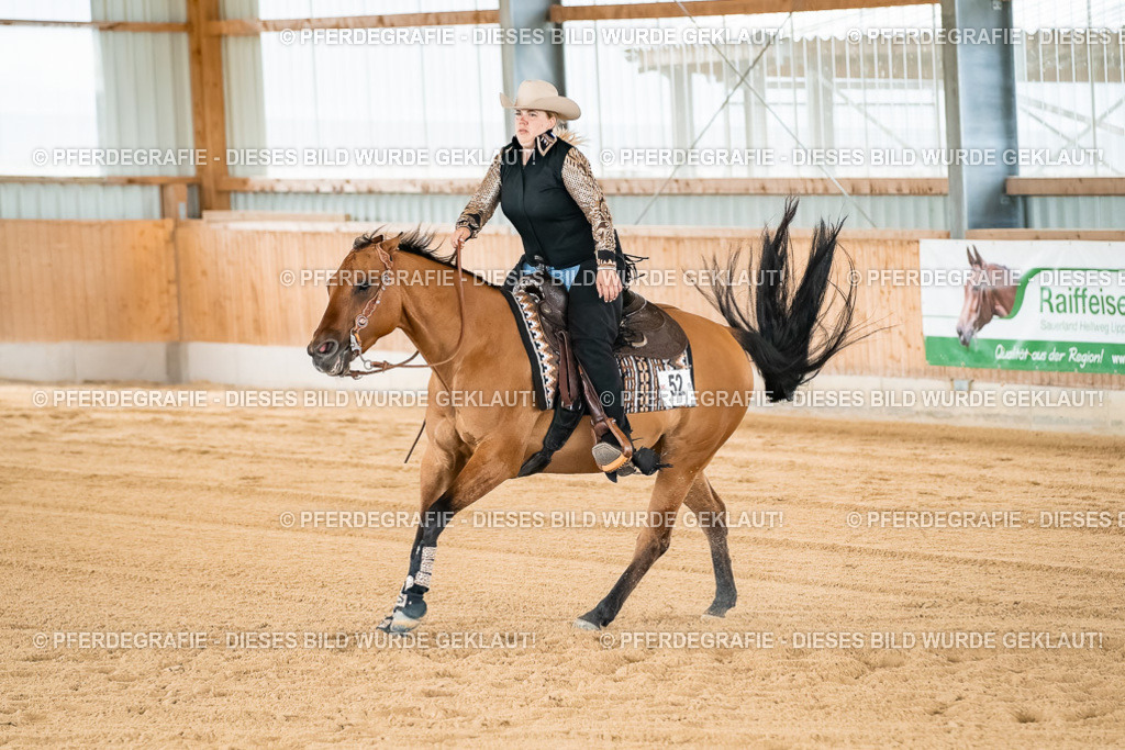 DSC03041 | Pferdegrafie