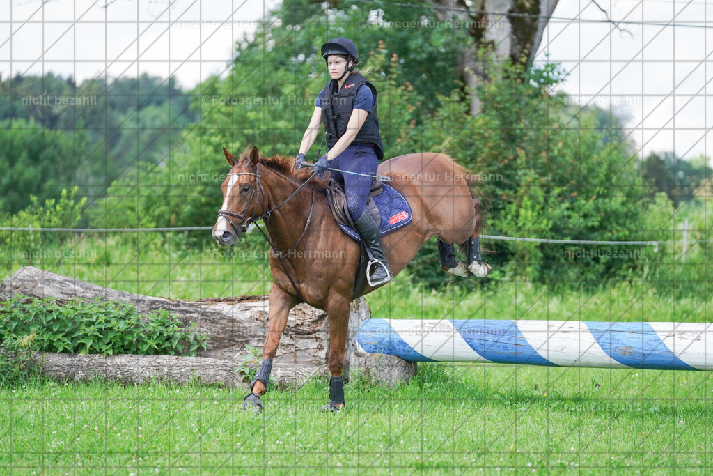 20240622-FAH07055 | Turnierfotografen Bayern, Reitsportbilder aus dem Geländekurs mit Felix Etzel auf dem Gut Waitzacker 2024