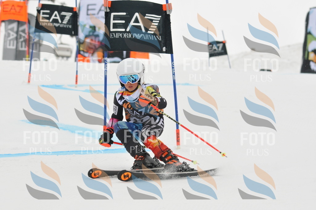 DSC_7502 | holidayphoto