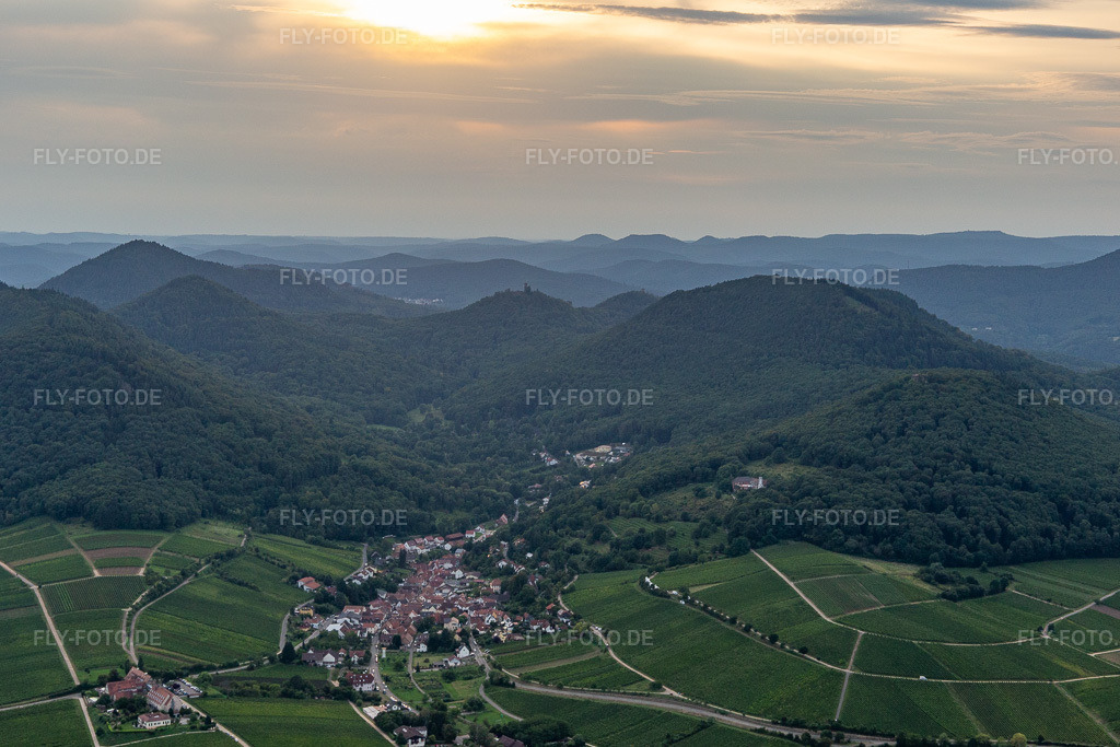 Luftbild: Weinbergs- und Rebstocks- Landschaft der Winzer- Gebiete in Leinsweiler im Bundesland Rheinland-Pfalz in Deutschland. Foto: IMG_128502.jpg vom 21.08.2021 durch Werner Riehm/FLY-FOTO.de