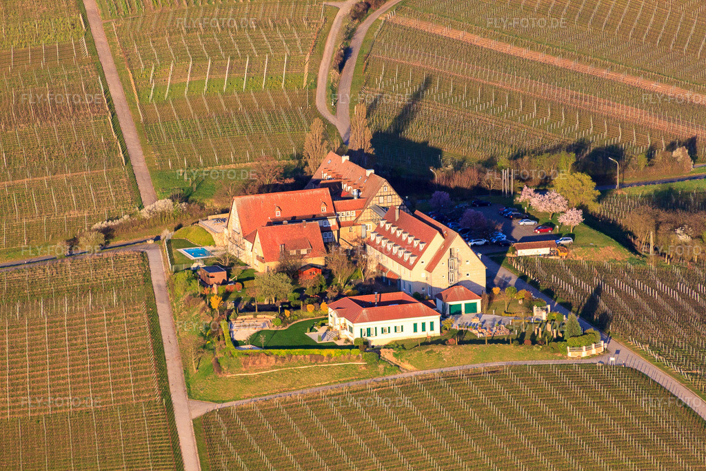 Luftbild: Hotel Leinsweiler Hof am Morgen aus Südosten in Leinsweiler im Bundesland Rheinland-Pfalz in Deutschland. Foto: IMG_63120.jpg vom 20.03.2014 durch Werner Riehm/FLY-FOTO.deUnvergessliche Momente im Urlaub - Leinsweiler Hof