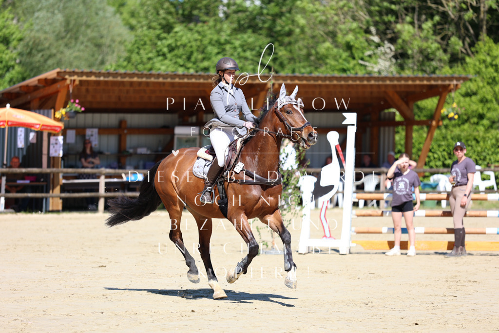 IMGS7222 | pl-fotografie