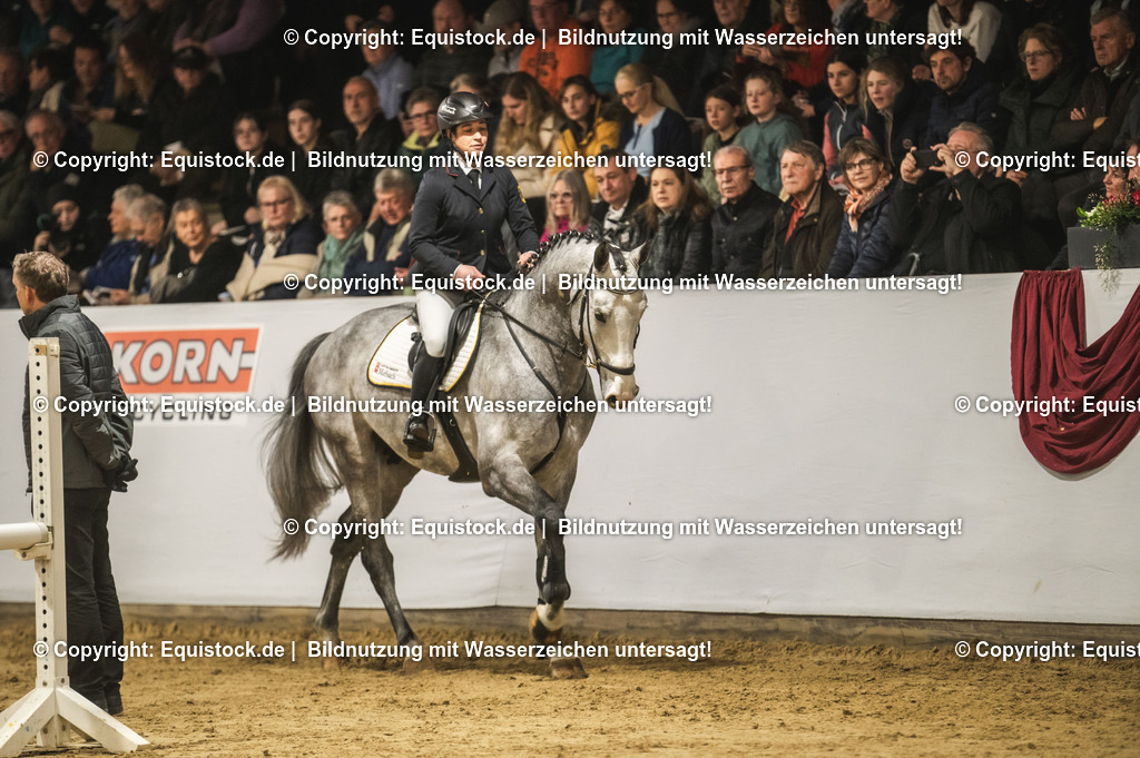 20240302_Hengstvorstellung_Marbach_TOMsPiC_0310 | equistock