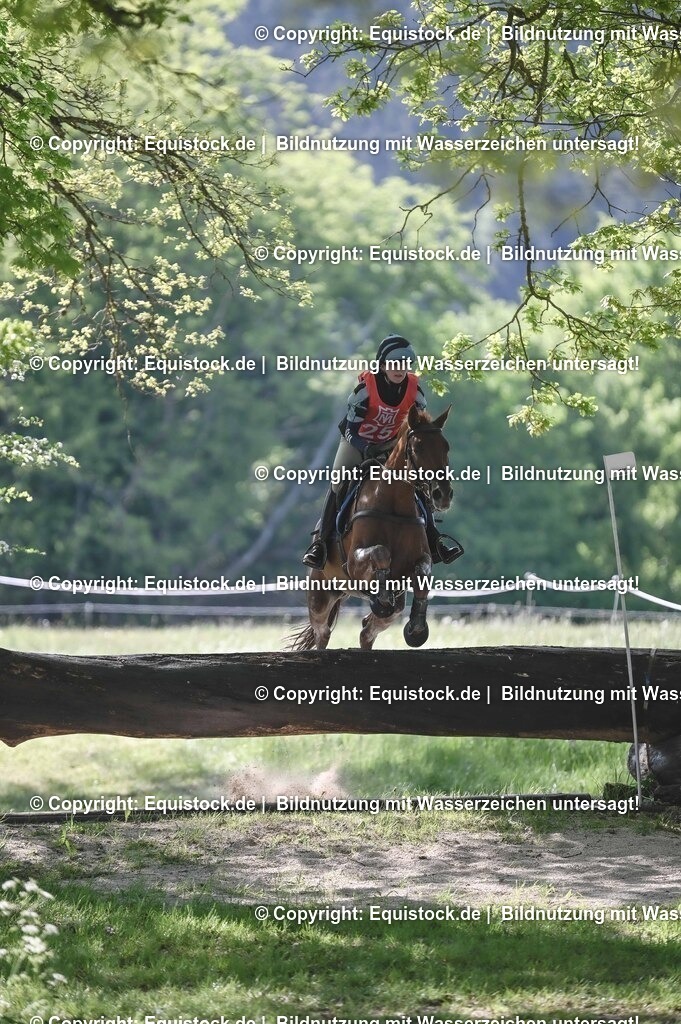 20250517_CCI2_Gelände_0679 | Foto: Thomas Hartig