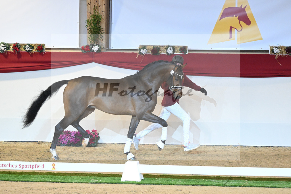 Kat-Nr. 53 For Dance_Haefner_1230137 | hf-fotografie - Realisiert mit Pictrs.com