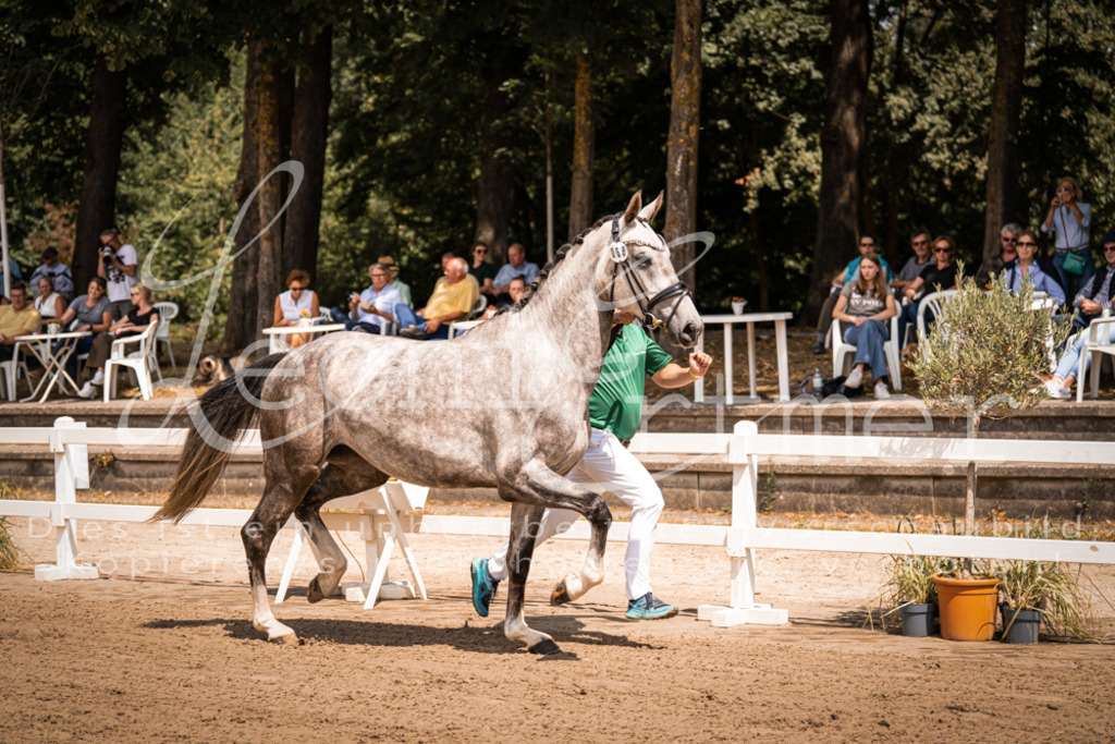 1.Fr00086 | Leoni Ertmer Photography - Realisiert mit Pictrs.com
