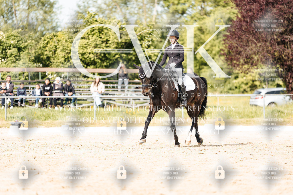 CK900328 | Turnierfotografie Pferdefotografie Trier Rheinland-Pfalz Pferdesport Reitsport Tierfotografie Sportfotografie Pferdevideo Pferdevideografie Equestrianvideography equestrianphotography  - Realisiert mit Pictrs.com