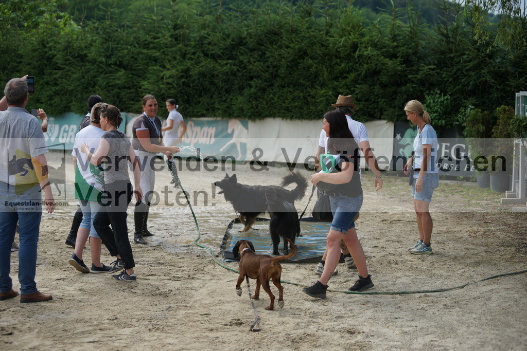 DSC05709 | equestrian-live-com
