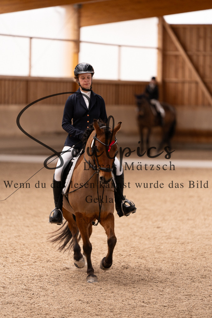 A7506957 | Pferdefotograf