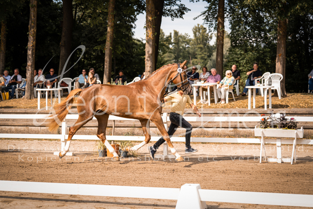 FrER00077 | Leoni Ertmer Photography - Realisiert mit Pictrs.com