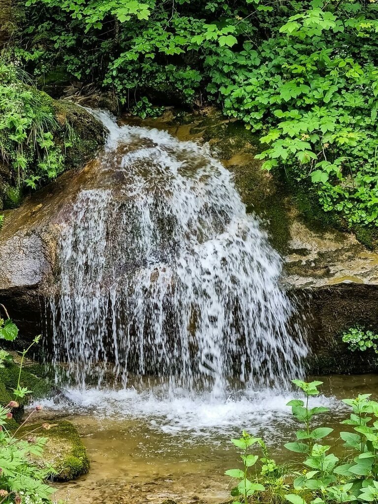 PSX_20210706_090632 | mtkfoto_ - Realisiert mit Pictrs.com