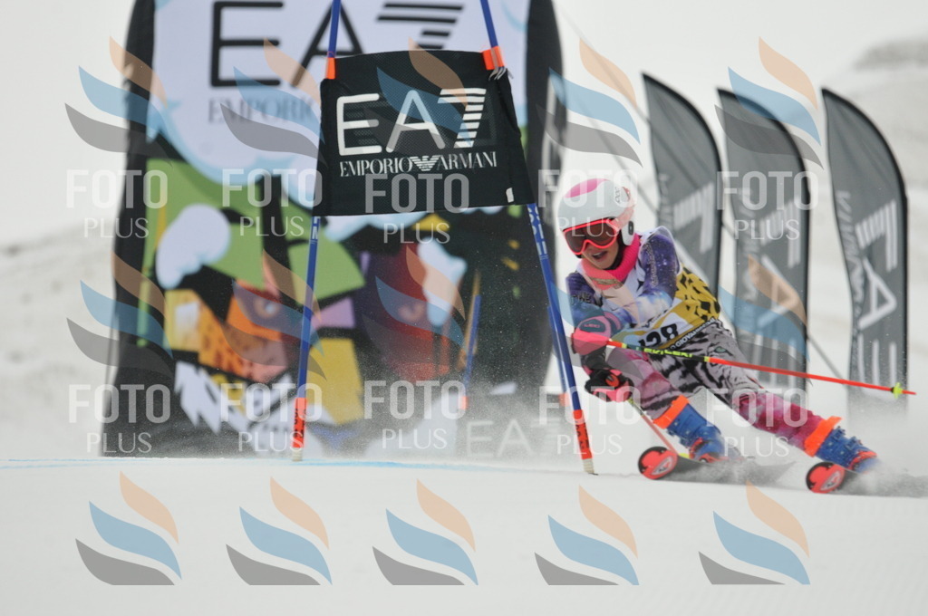 DSC_8270 | holidayphoto