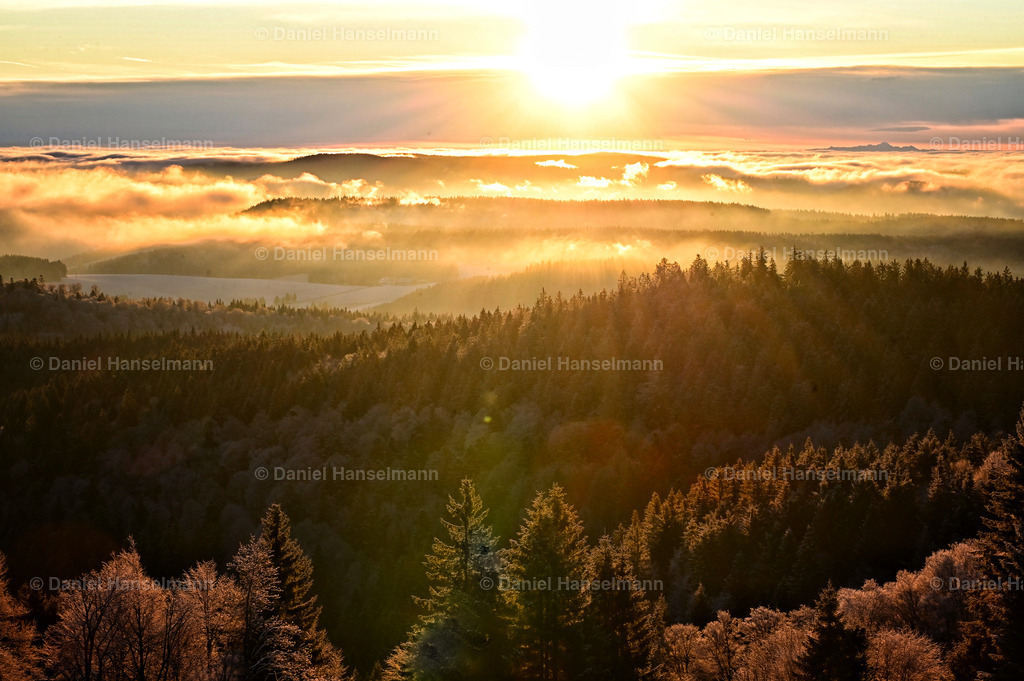 Blick auf den Säntis und die Alpen | Hier finden Sie Poster, Leinwandfotos sowie viele weitere Fotoprodukte mit Motiven aus dem Schwarzwald, aus Freiburg und dem Kaiserstuhl zum Download und zum Bestellen.  - Realisiert mit Pictrs.com