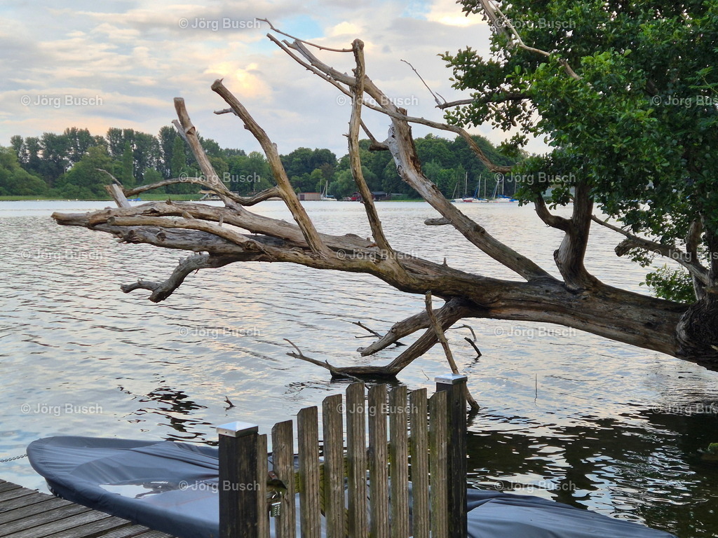 Bootssteg mit totem Baum am See | Dieser Shop bietet Fotos und Videos aus den Bereichen Fallschirmspringen, Landschaft und Luftbild - Realizzato con Pictrs.com
