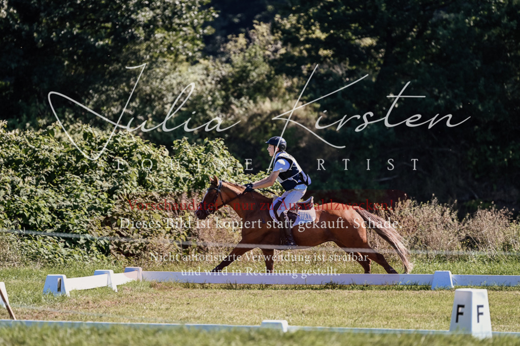 DSC_2065 | Pferde- und Turnierfotografie in Westsachsen. Pferdeportraits, Auftragszeichnungen und intuitive Kunst.