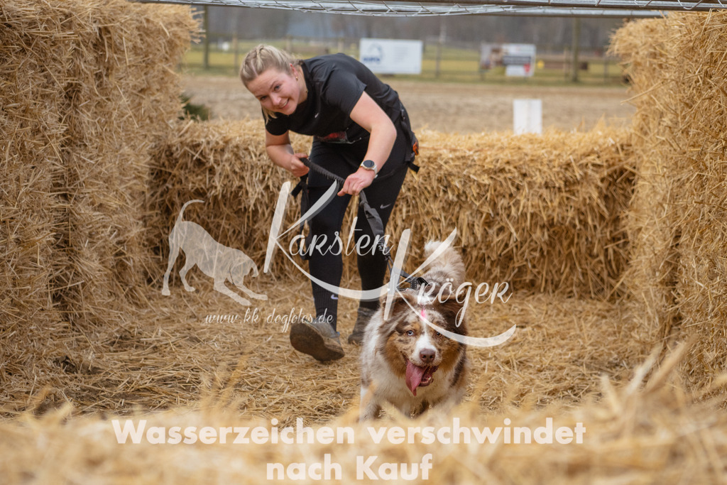 0817_ZZ92399 | kk-dogfotos