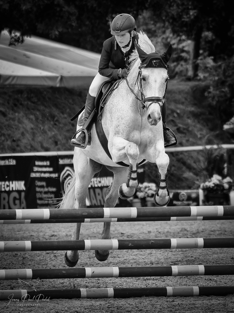 2025-05-29_10_07_42__5291730-Bearbeitet | Franz Podek