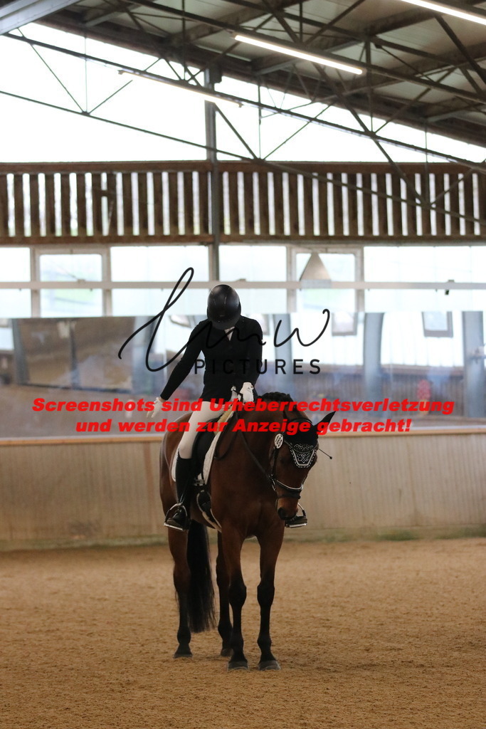 IMG_6245 | lmwpictures - Realisiert mit Pictrs.com