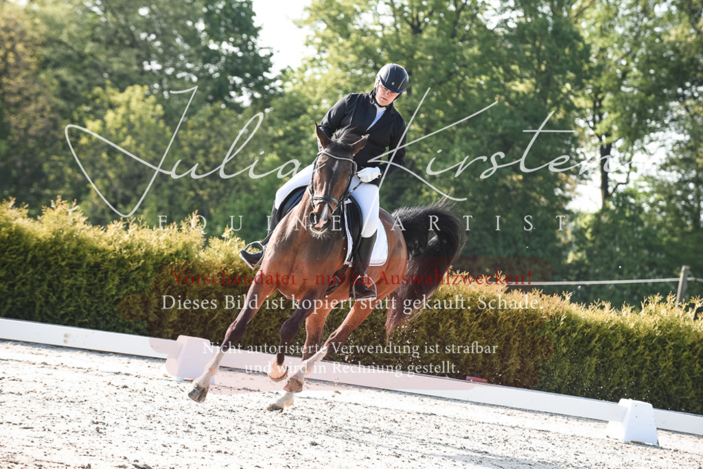 20230518_JK-Röhrsdorf-09-0720 | Pferde- und Turnierfotografie in Westsachsen. Pferdeportraits, Auftragszeichnungen und intuitive Kunst.