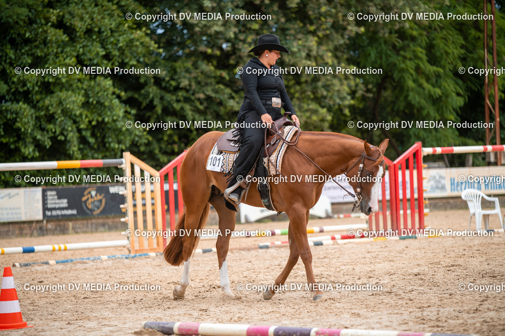 ZS2_8031 | dv-media-shop - Realisiert mit Pictrs.com