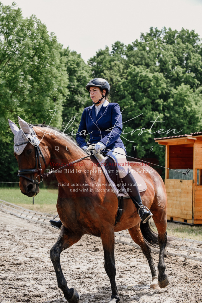 DSC_1191 | Pferde- und Turnierfotografie in Westsachsen. Pferdeportraits, Auftragszeichnungen und intuitive Kunst.