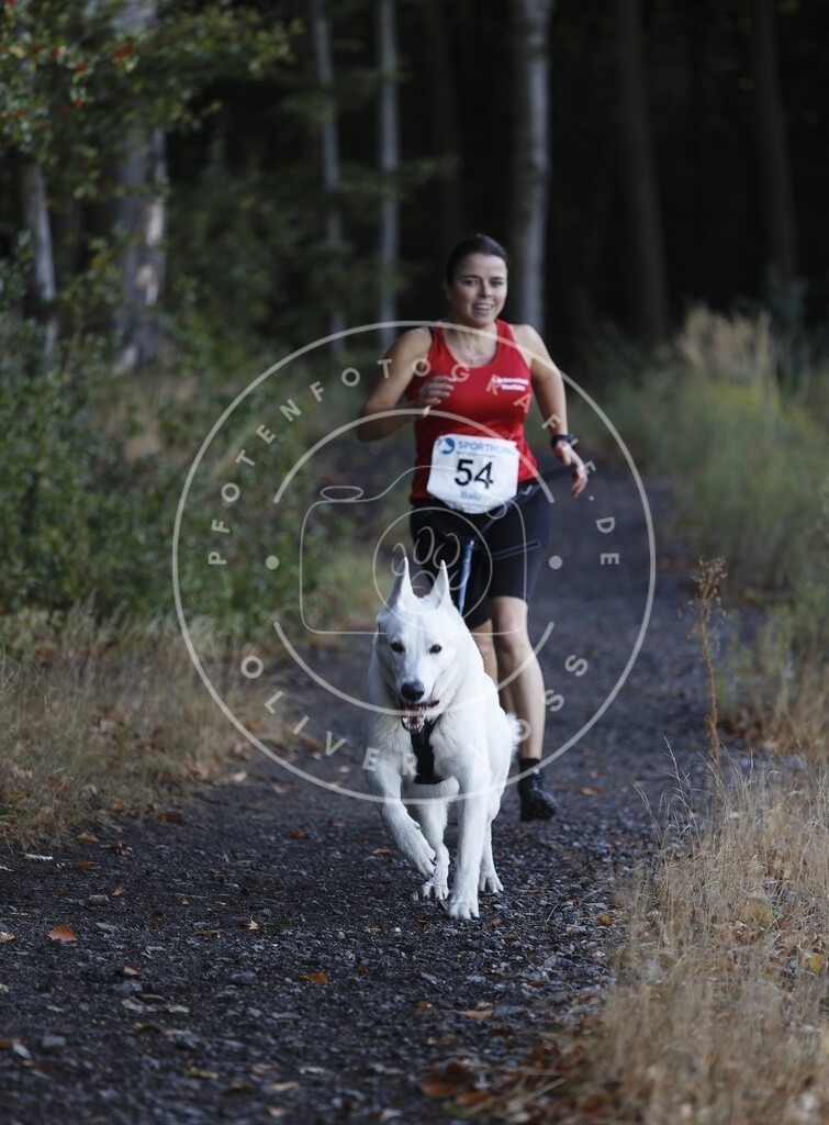 0L8A1814 | Hundefotografie, Tierfotograf, Pfotenfotografie, Fotoshooting Hund, Hunde Portrait, Hundesport, Hundeportraits, Heideshooting, Hunde, Sportfotograf, Hundefotograf, Turnierhundsport, THS,  - Realisiert mit Pictrs.com