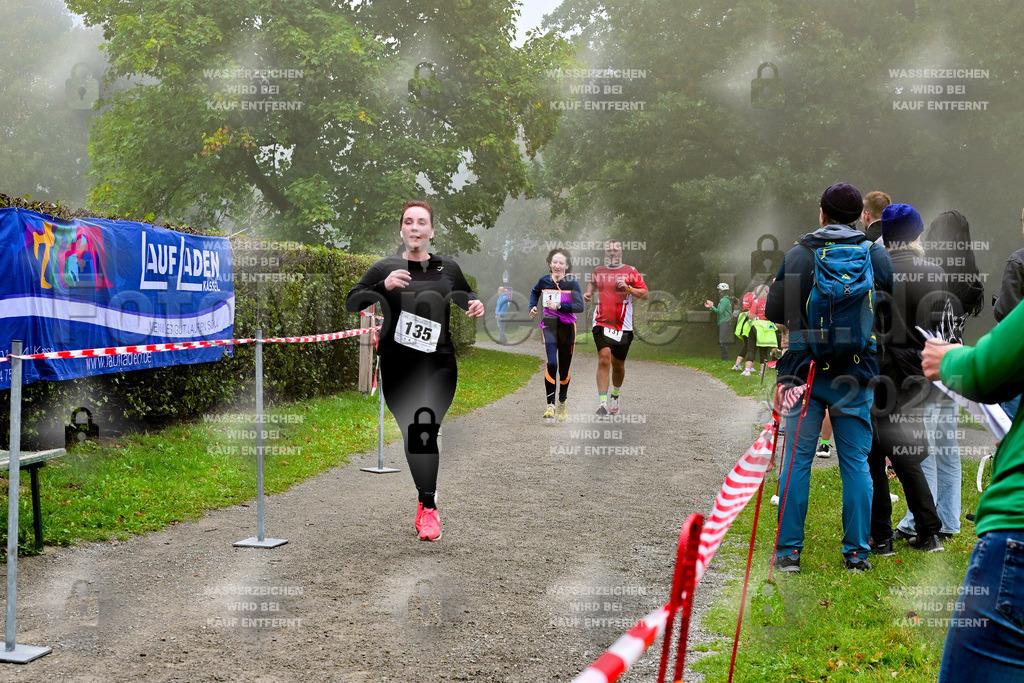 Z8N_2163 | la-psv - Realisiert mit Pictrs.com