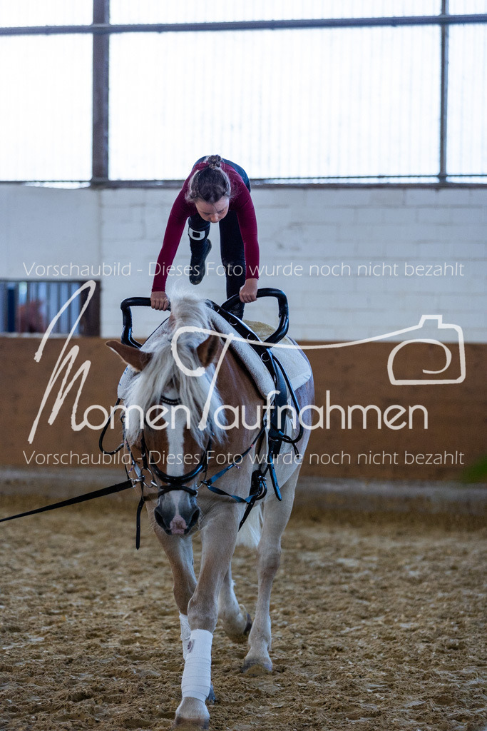 SS-Mini-114 | MomenTaufnahmen Pferdesportfotos