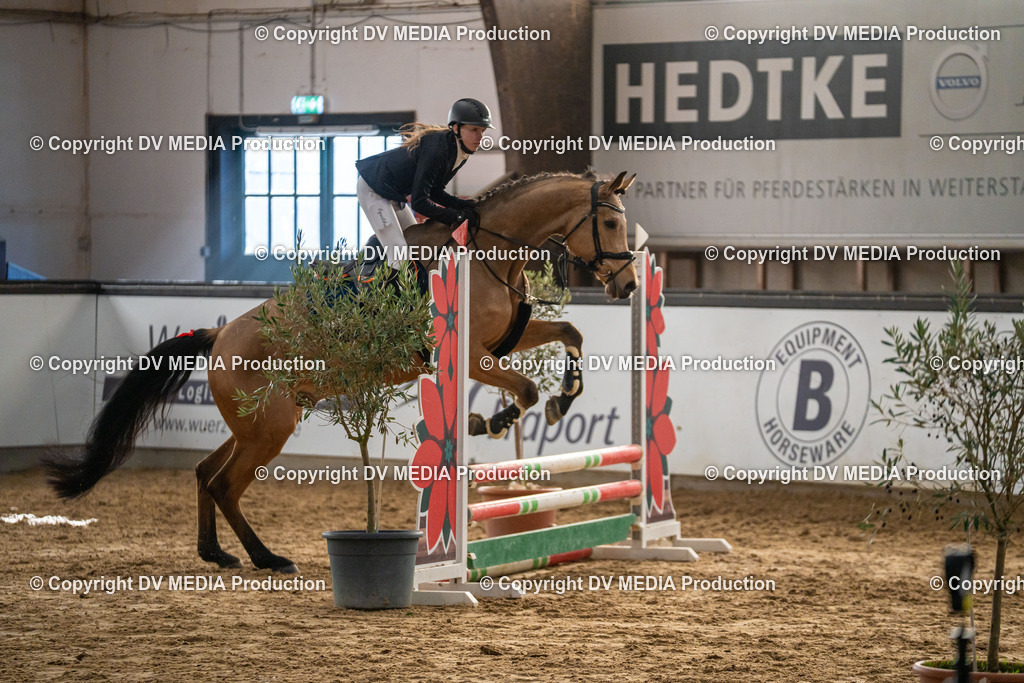 Kranichstein Tag 2-0897 | dv-media-shop - Realisiert mit Pictrs.com