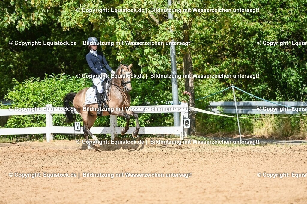20230716_01_Dressurprüfung Kl.M_0223 | equistock