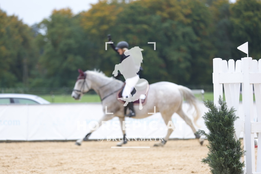 0P6A1028 | Willkommen bei Brunnmayr - Design & Fotografie – Ihrem Spezialisten für Reitturniere und Pferdeveranstaltungen in Oberösterreich, Salzburg und Bayern! Seit über 17 Jahren sind wir leidenschaftlich dabei.