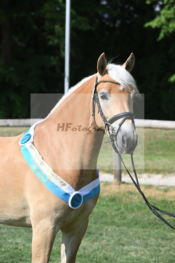 Kat-Nr. 43 Olena_Schuler_20231754 | hf-fotografie - Realisiert mit Pictrs.com