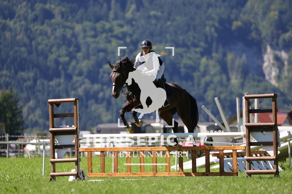 0P6A6560 | Willkommen bei Brunnmayr - Design & Fotografie – Ihrem Spezialisten für Reitturniere und Pferdeveranstaltungen in Oberösterreich, Salzburg und Bayern! Seit über 17 Jahren sind wir leidenschaftlich dabei.