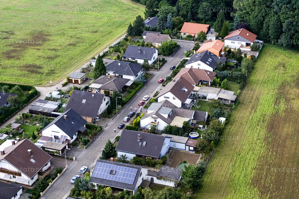 Luftbild: Waldstr in Erlenbach bei Kandel im Bundesland Rheinland-Pfalz in Deutschland. Foto: IMG_7720.jpg vom 02.09.2007 durch Werner Riehm/FLY-FOTO.de