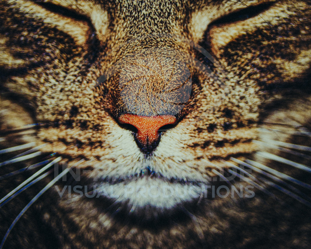 DSC00430-Bearbeitet | SONY DSC - Realisiert mit Pictrs.com