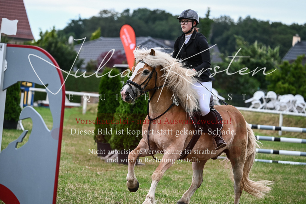 DSC_8415 | Pferde- und Turnierfotografie in Westsachsen. Pferdeportraits, Auftragszeichnungen und intuitive Kunst.