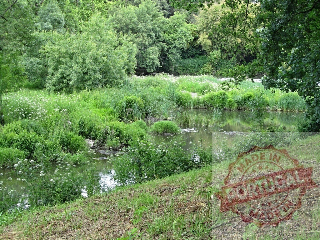 Lush green landscape with river water and wildflowers. Region Norte - Portugal | River flowing through abundant green grass and wildflowers on a summer day - Realized with Pictrs.com